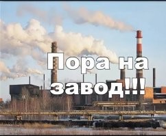 Блогер Некоглай додумался собирать донаты на помощь ВСУ на российской площадке - и поплатился