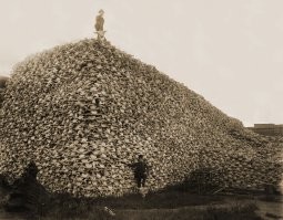 Американцы одобряют