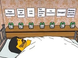 Комментарии и картинки из соцсетей. Свежак за 31 января