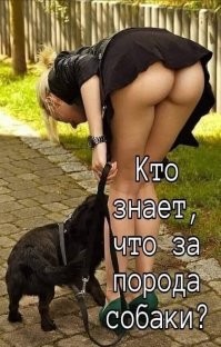 Комментарии и картинки из соцсетей. Свежак за 30 января