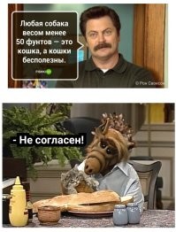 Цитаты Рона Свонсона