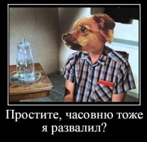 Комментарии и картинки из соцсетей. Свежак за 30 января