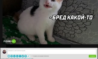 Почему же нельзя? Всегда можно было, нажмите на картинку - там будет форма комментария и так под каждой.
