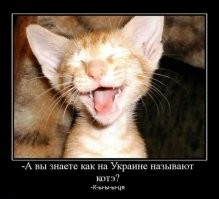 От улыбки станет всем светлей: улыбчивые обаяшки, которые делают мир добрее