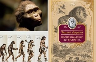 Супруги Уоррен: шарлатаны или экстрасенсы?