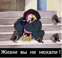 Футболист Кокорин рассказал о пользе тюрьмы для каждого мужчины