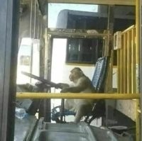 Что тут неожиданного?
Вся Москва такими заполнена!
