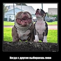 От улыбки станет всем светлей: улыбчивые обаяшки, которые делают мир добрее
