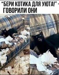 От улыбки станет всем светлей: улыбчивые обаяшки, которые делают мир добрее