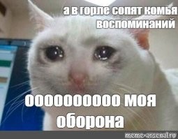 Угадайте рок-группу по тексту известной песни