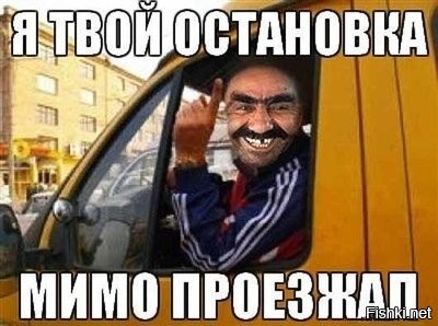 30 уморительных животных, которые оказались в неожиданных местах