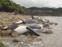 Когда как...