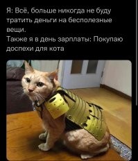 Комментарии и картинки из соцсетей. Свежак за 1 февраля