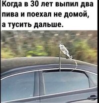 Комментарии и картинки из соцсетей. Свежак за 1 февраля