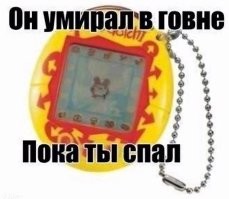 Фотоприколы и прикольные картинки