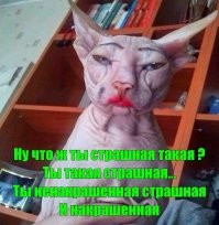 И крестилась, небось, при каждой встрече...