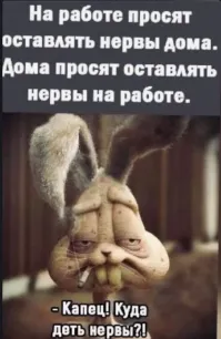 Комментарии и картинки из соцсетей. Свежак за 3 февраля