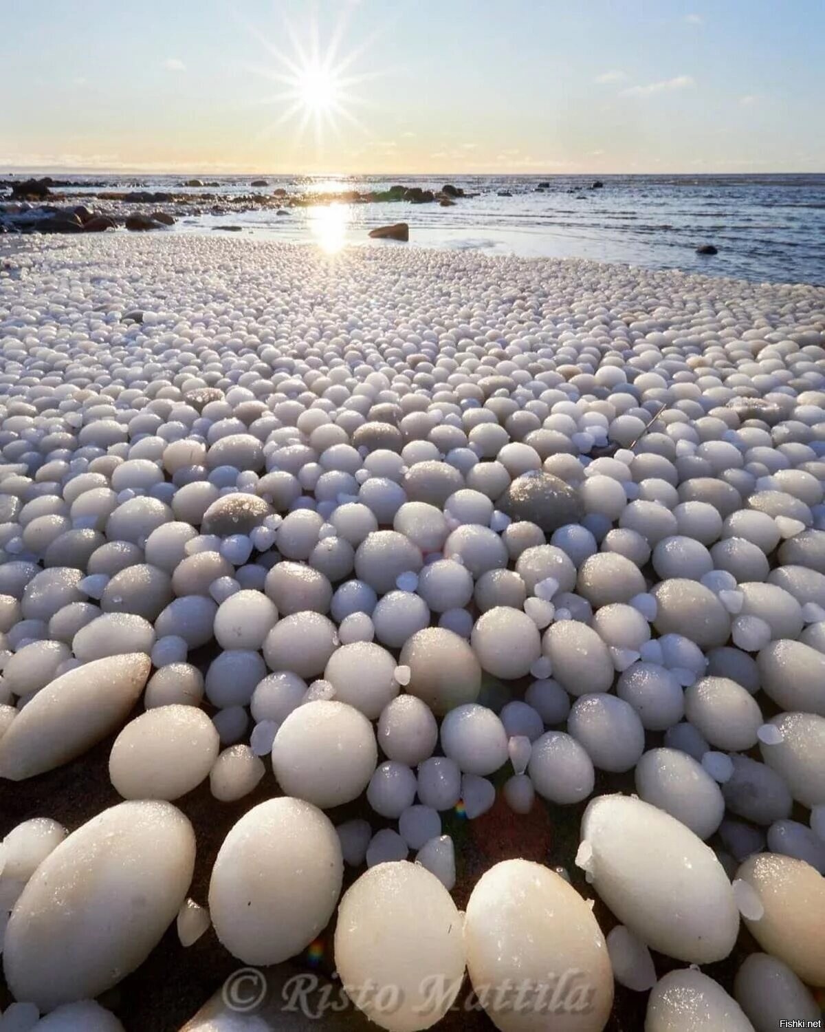 Редкие природные. Ледяные яйца финский залив. Яйца дракона Териберка. Ледяные шары в финском заливе. Ледяные яйца в Финляндии.