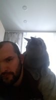 У нас котопугай)))забирается и  лежит на спине.