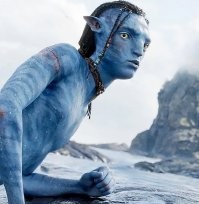 - Че пристал?!