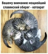 Фотоприколы и прикольные картинки