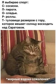 Фотоприколы и прикольные картинки