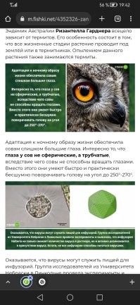 Не зря. Я читаю этот пост с телефона. Это выглядит вот так.