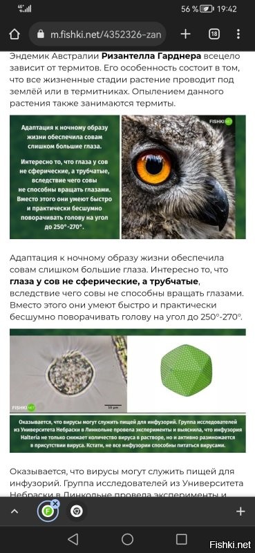 Не зря. Я читаю этот пост с телефона. Это выглядит вот так.