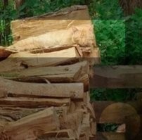 Фотоприколы и прикольные картинки