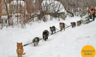 Восьмой - запаска.