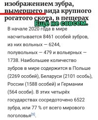 Ну недавно же было!