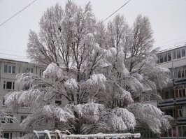 20 известных мемов, которые перерисовали в стиле тёмного фэнтези