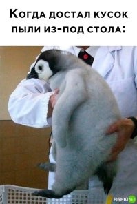 ...из пупа