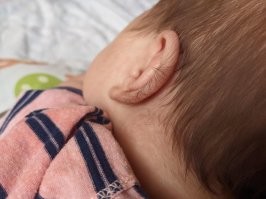 Агроном: Если ушки мохнатые будут, запиши его эльфом, а если нет   можно русским записать.
Арвен: Это почему это русским?
Агроном: Ну не нравится, давай   гондурасским. Мы, чукотские, без предрассудков!
