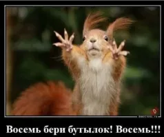 Алкопост на вечер этой пятницы