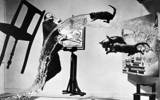 26 раз котов бросали? как их удалось поймать после первого раза?