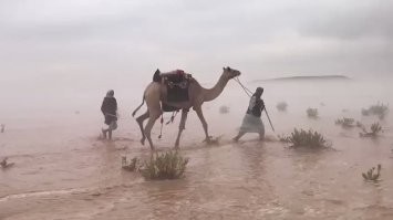 Только про "потоп". Предполагаю, что то, что в Библии называется потопом, действительно было - некое достаточно мощное наводнение,  какие и сейчас периодически происходят в той же Европе.  Естественно, что для жителя тех времён, когда весь мир - в границах известных на тот момент стран-земель, это будет всепланетным потопом, сплошной "Водный мир". Дальше - понятно, из серии  "молния сверкает - это Зевс на колеснице гоняет" и тд. У народов разных стран, причём находящихся на разных континентах, тоже есть свои истории-легенды о масштабных "потопах". Что тоже вполне объяснимо естественными причинами - достаточно вспомнить ураган "Катрина"-2005.