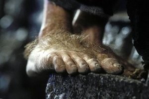 Тогда и ножки должны быть волосатыми.