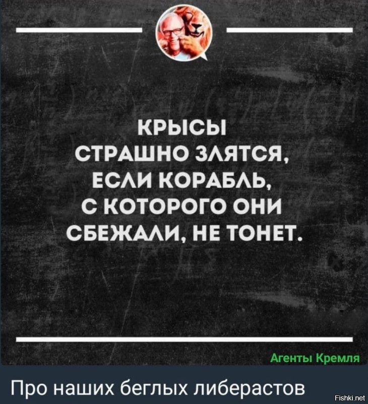 О политике и не только