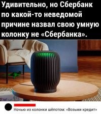 Эта сука сама будет звонить в сбер и оформлять на владельца кредиты!