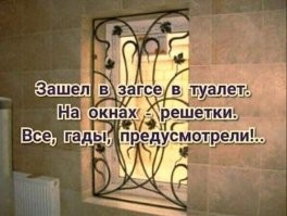 Фотоприколы и прикольные картинки