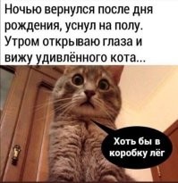 Комментарии и картинки из соцсетей. Свежак за 5 февраля