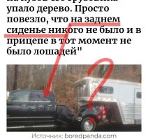 30 везунчиков, которые родились в рубашке