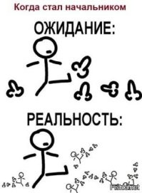 Офисные будни акул бизнеса