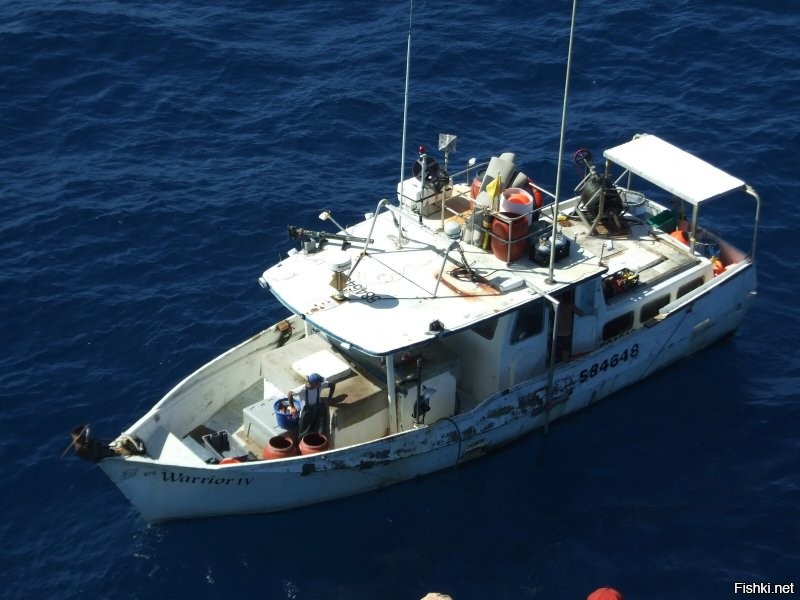 Бывал в нигерии. Лагос и Харкорт. в 2010 году. Параход "Сан-Антонио". разгружали рыбу из Перуанской зоны лова.
Клоака Африки. Народ либо наивный, либо вороватый, либо добродушный.
Бандиты и чиновники там такие же. Мне обещали голову отрезать. С улыбкой. Но они думали что я "юкрейн мафиа". Коррупция страшная. Наглость не сусветная. Бедность ужасающая.