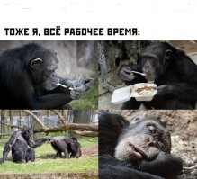 Офисные будни акул бизнеса