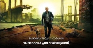 Все беды из-за баб...