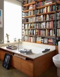 Унитаз видите? нужны еще объяснения для чего книги?