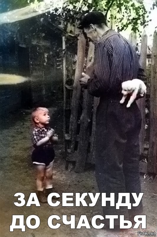 30 тёплых и пушистых комков неподдельного счастья