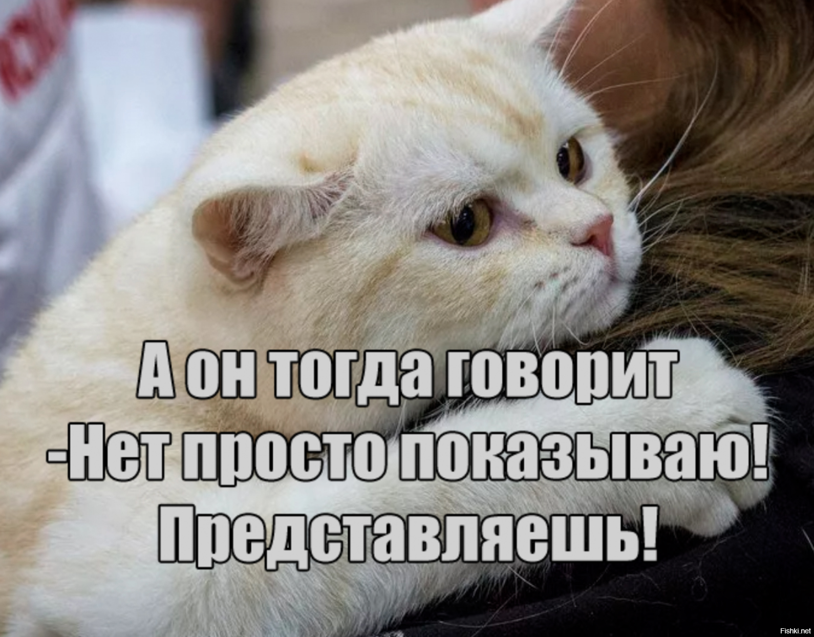 Рыбов продаете картинка
